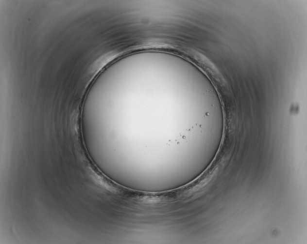 X0000102021177200808011417