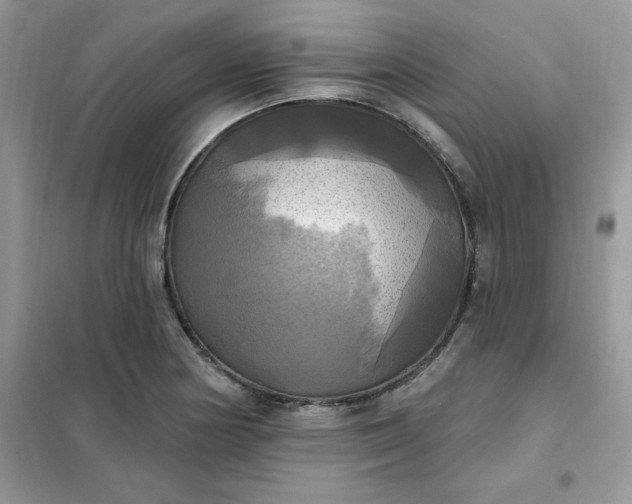 X0000102021178200808011417