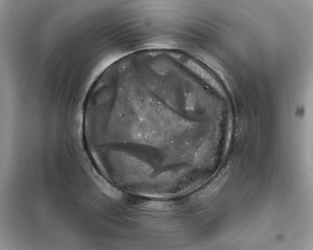 X0000102021179200808011416