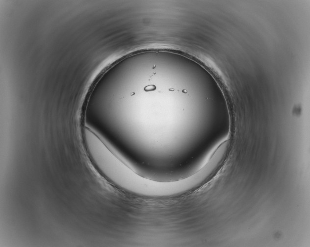 X0000102021181200808011416