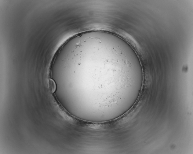 X0000102021182200808011416