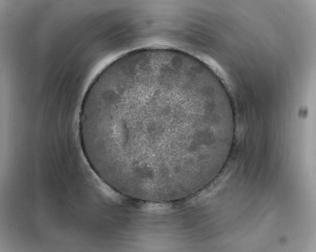 X0000102021183200808011416