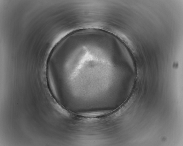 X0000102021184200808011416