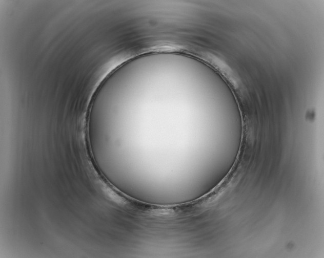 X0000102021186200808011416