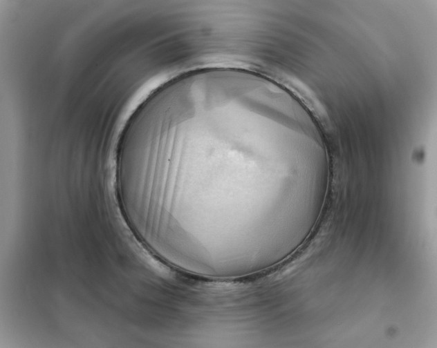 X0000102021188200808011416