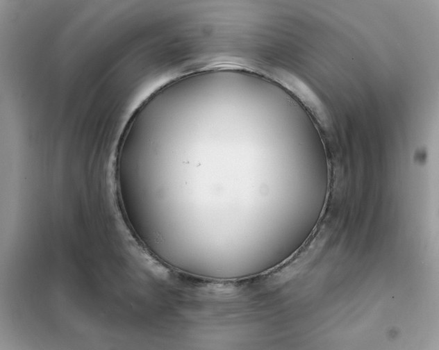 X0000102021190200808011416