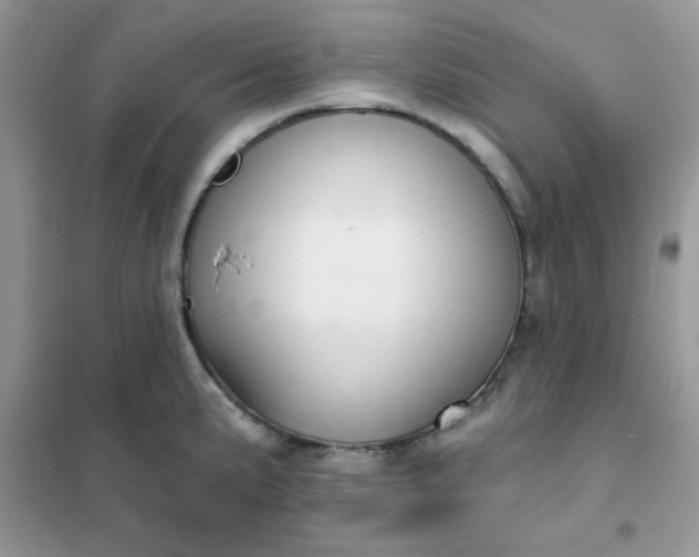 X0000102021191200808011416