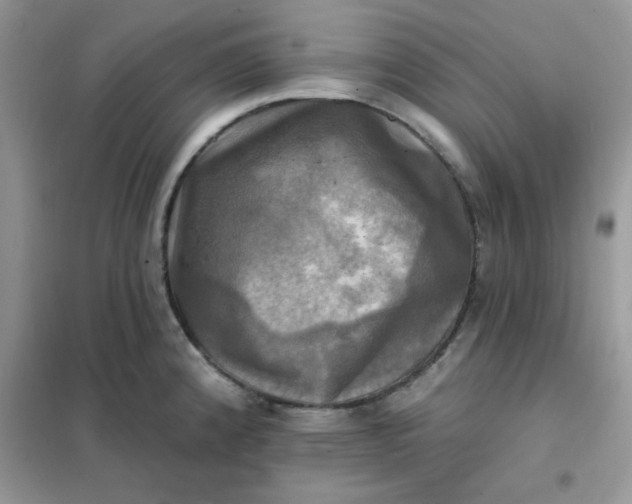 X0000102021192200808011416