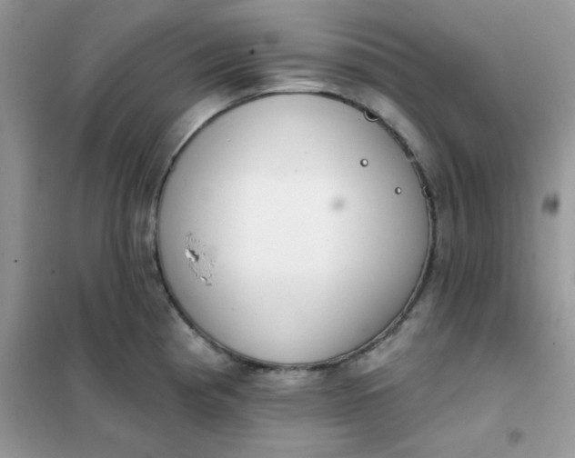 X0000102021193200808011416