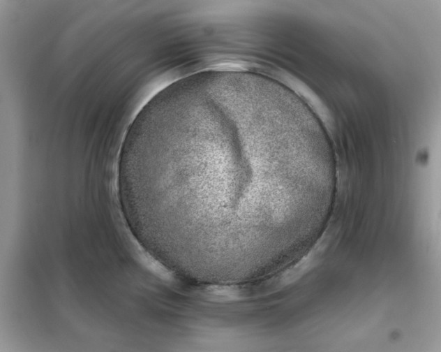 X0000102021194200808011416