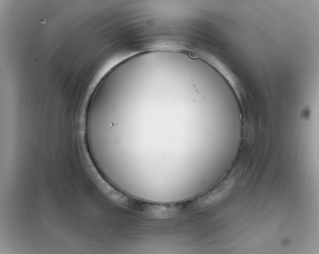 X0000102021195200808011416