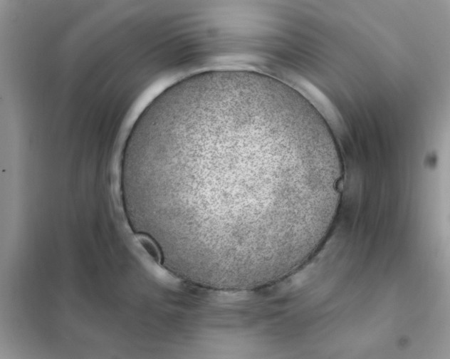 X0000102021196200808011416