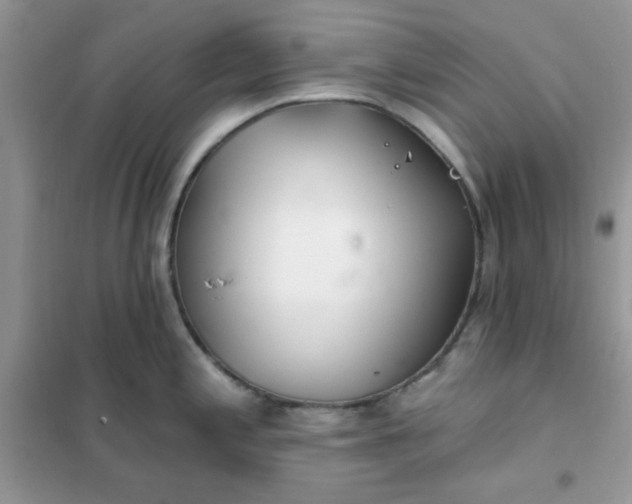 X0000102021197200808011416