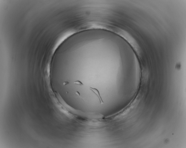 X0000102021198200808011416