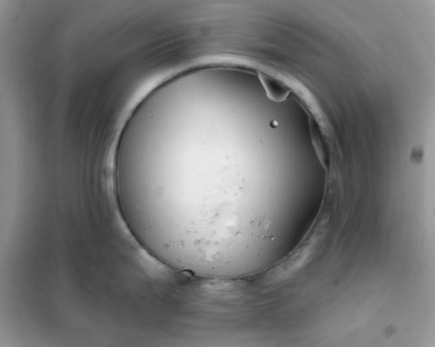 X0000102021199200808011416