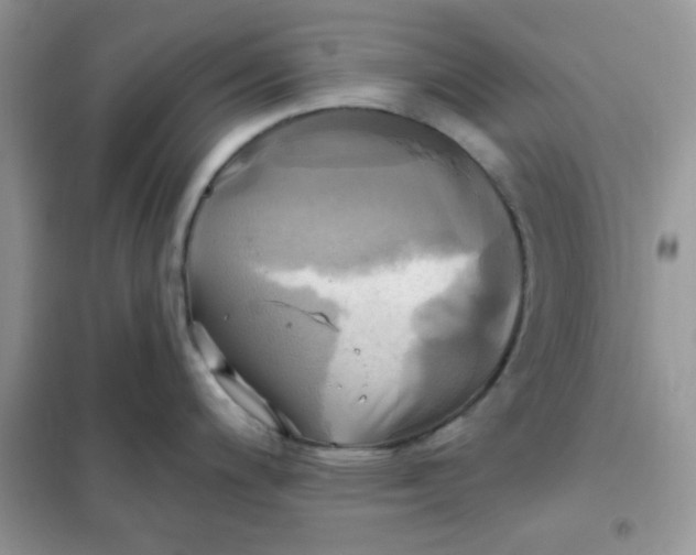 X0000102021200200808011416