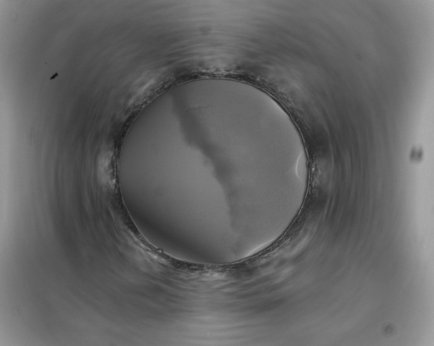 X0000102021202200808011415