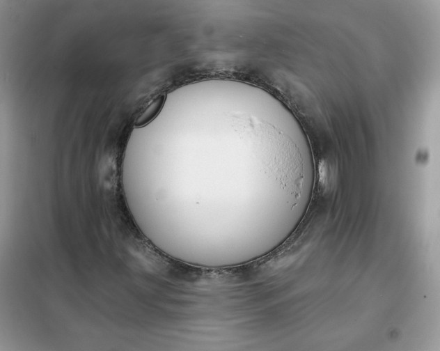 X0000102021203200808011415