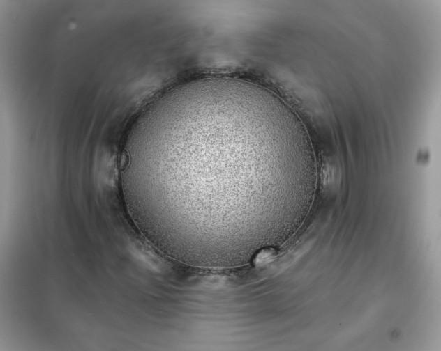 X0000102021204200808011415