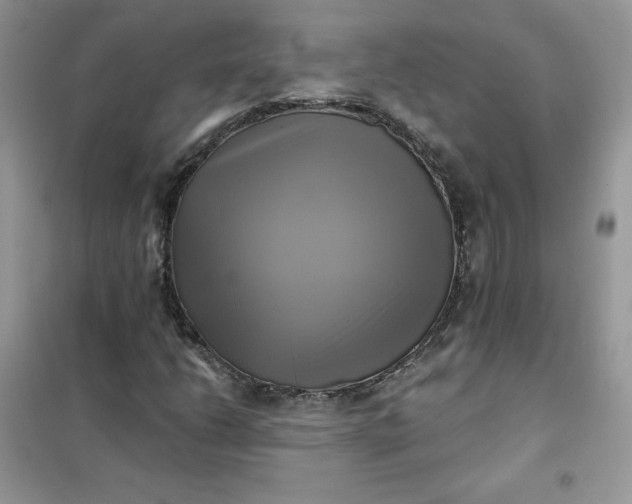 X0000102021206200808011415