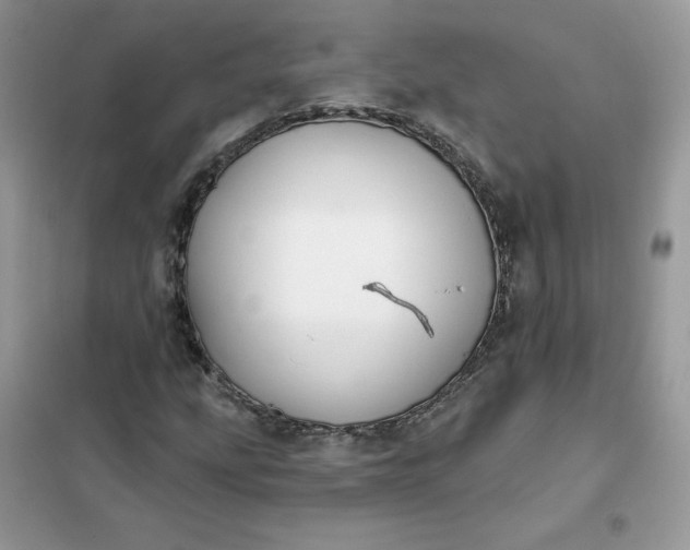 X0000102021207200808011415