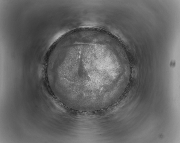 X0000102021208200808011415