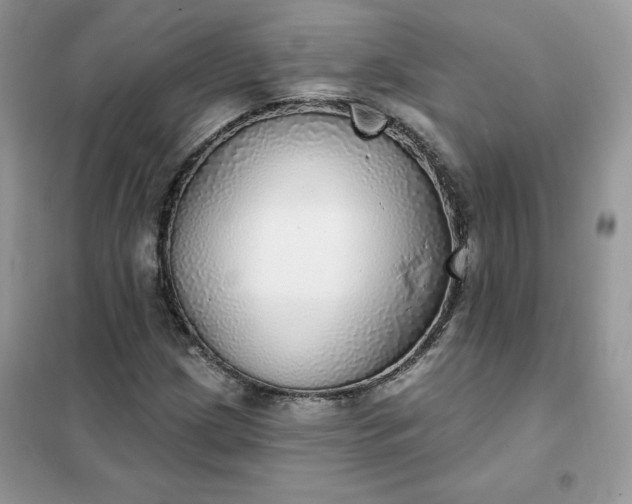 X0000102021209200808011415