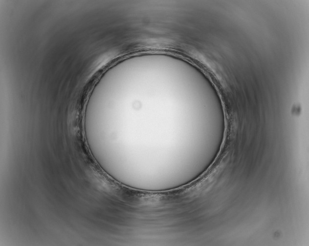 X0000102021211200808011416