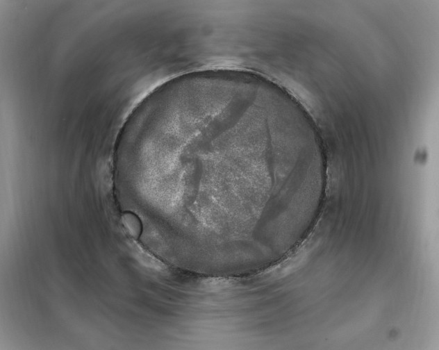 X0000102021212200808011416