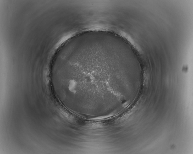 X0000102021213200808011416