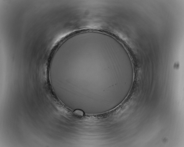 X0000102021214200808011416