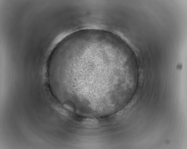 X0000102021215200808011416