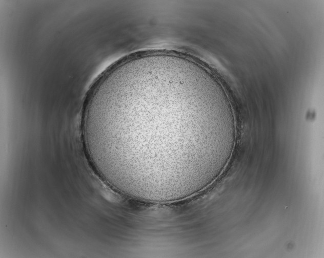 X0000102021216200808011416