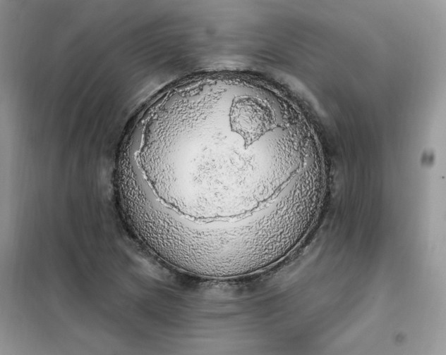 X0000102021217200808011416