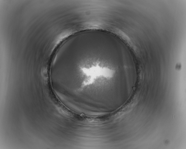 X0000102021218200808011416