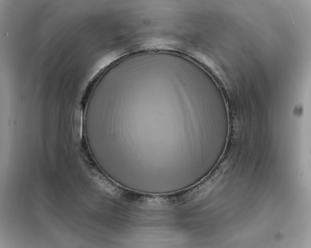 X0000102021219200808011416