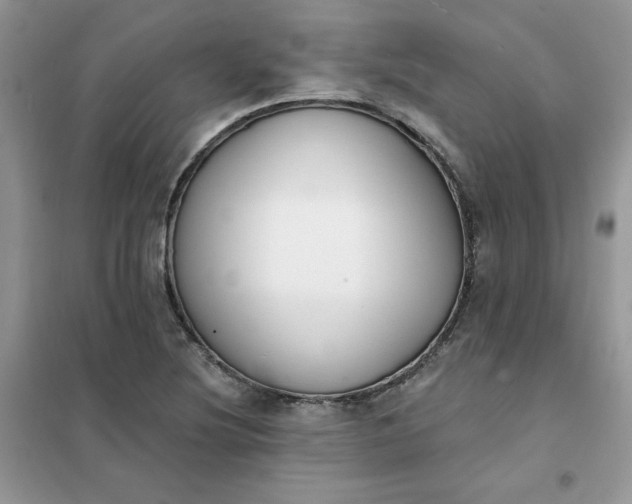 X0000102021220200808011416