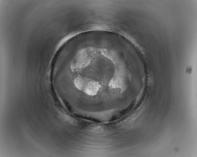 X0000102021222200808011416