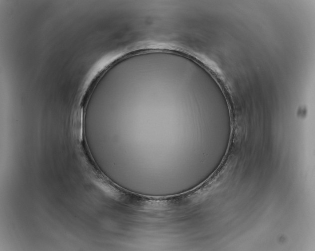 X0000102021223200808011416