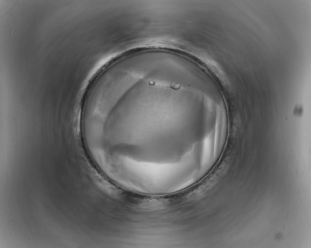 X0000102021224200808011416