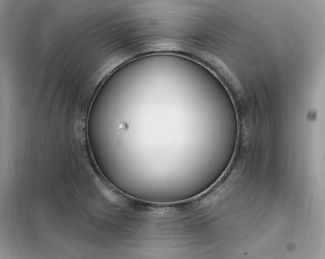 X0000102021225200808011416