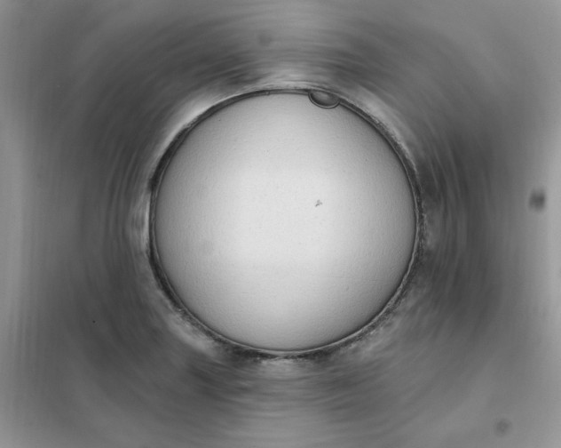 X0000102021227200808011416