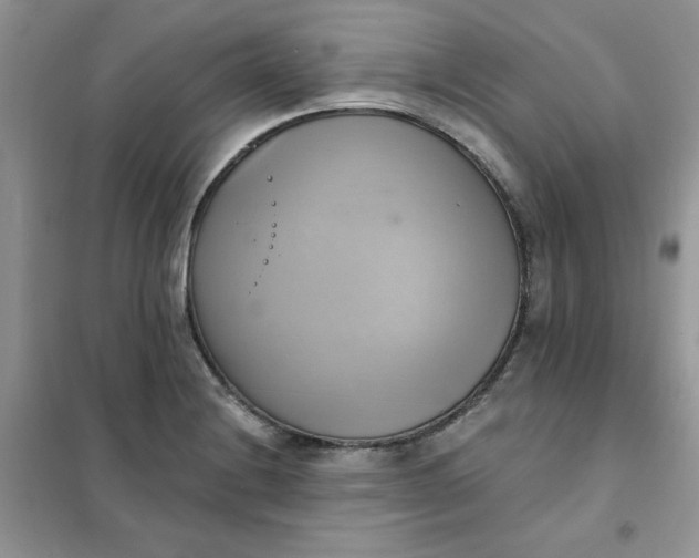 X0000102021228200808011416