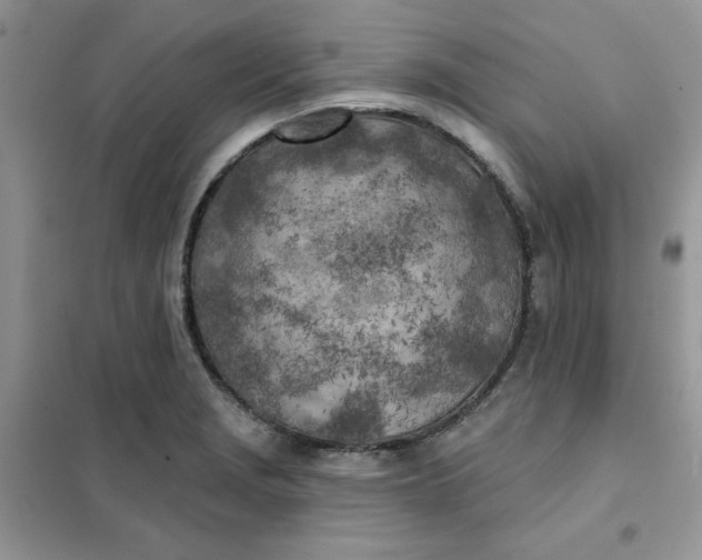 X0000102021229200808011416
