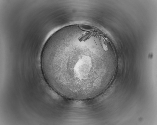 X0000102021230200808011416