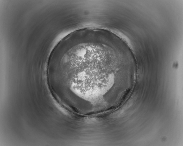 X0000102021231200808011416