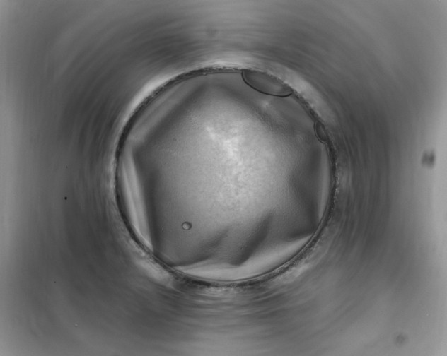 X0000102021232200808011416