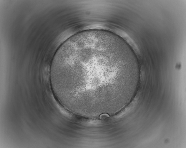 X0000102021233200808011416
