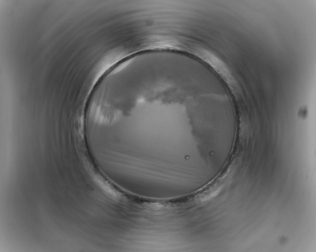 X0000102021234200808011416