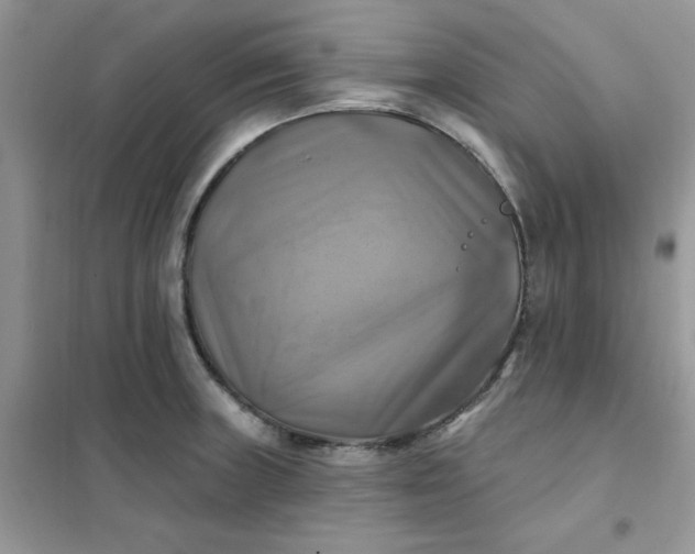 X0000102021235200808011416